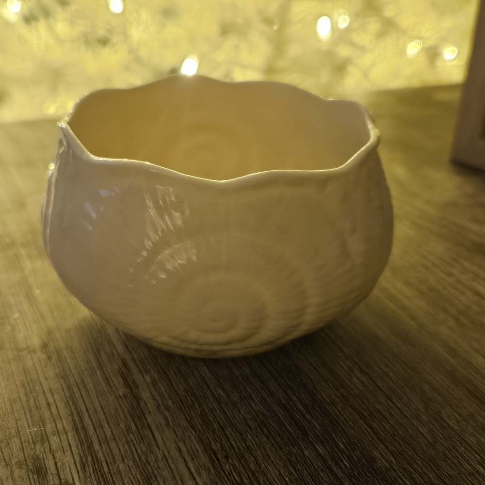 Belleek Toy Nautilus Shell Set - Picture 6 of 10